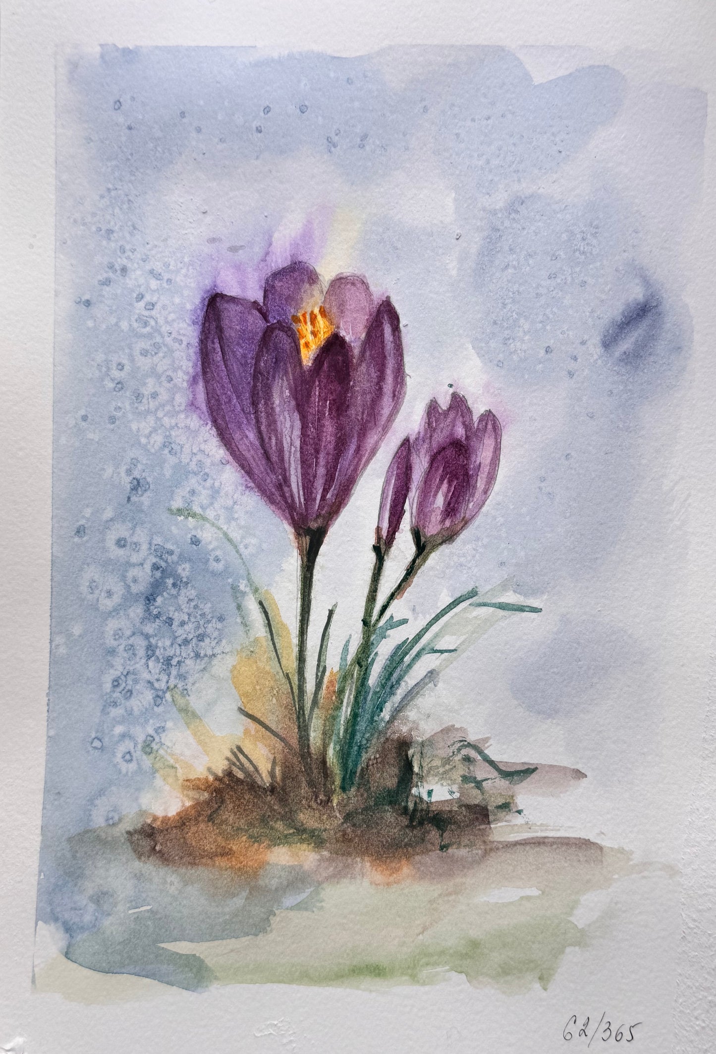 Watercolor painting of a purple crocus flower with a light blue background