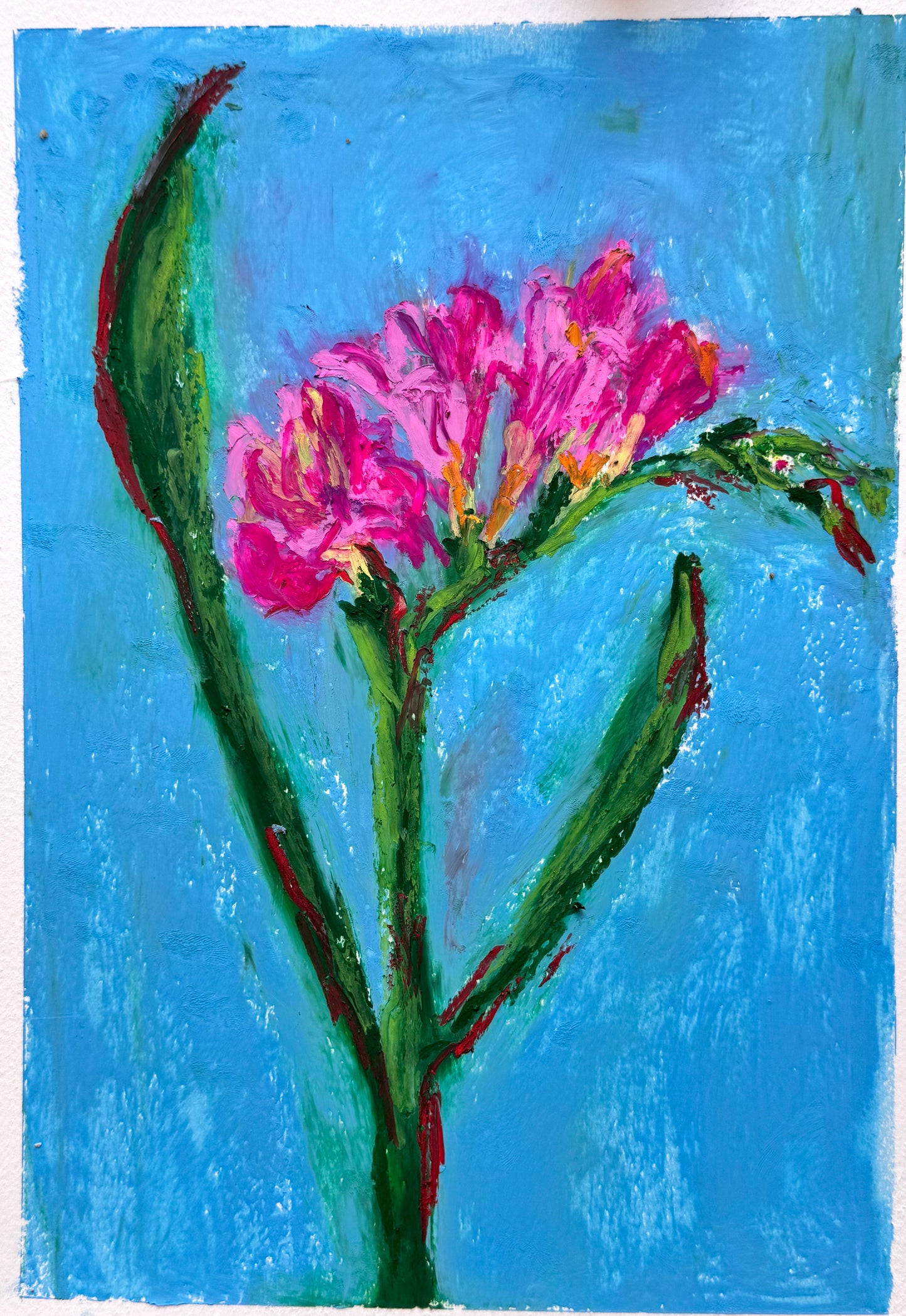 Artistic depiction of pink freesia flowers with green leaves on a blue background
