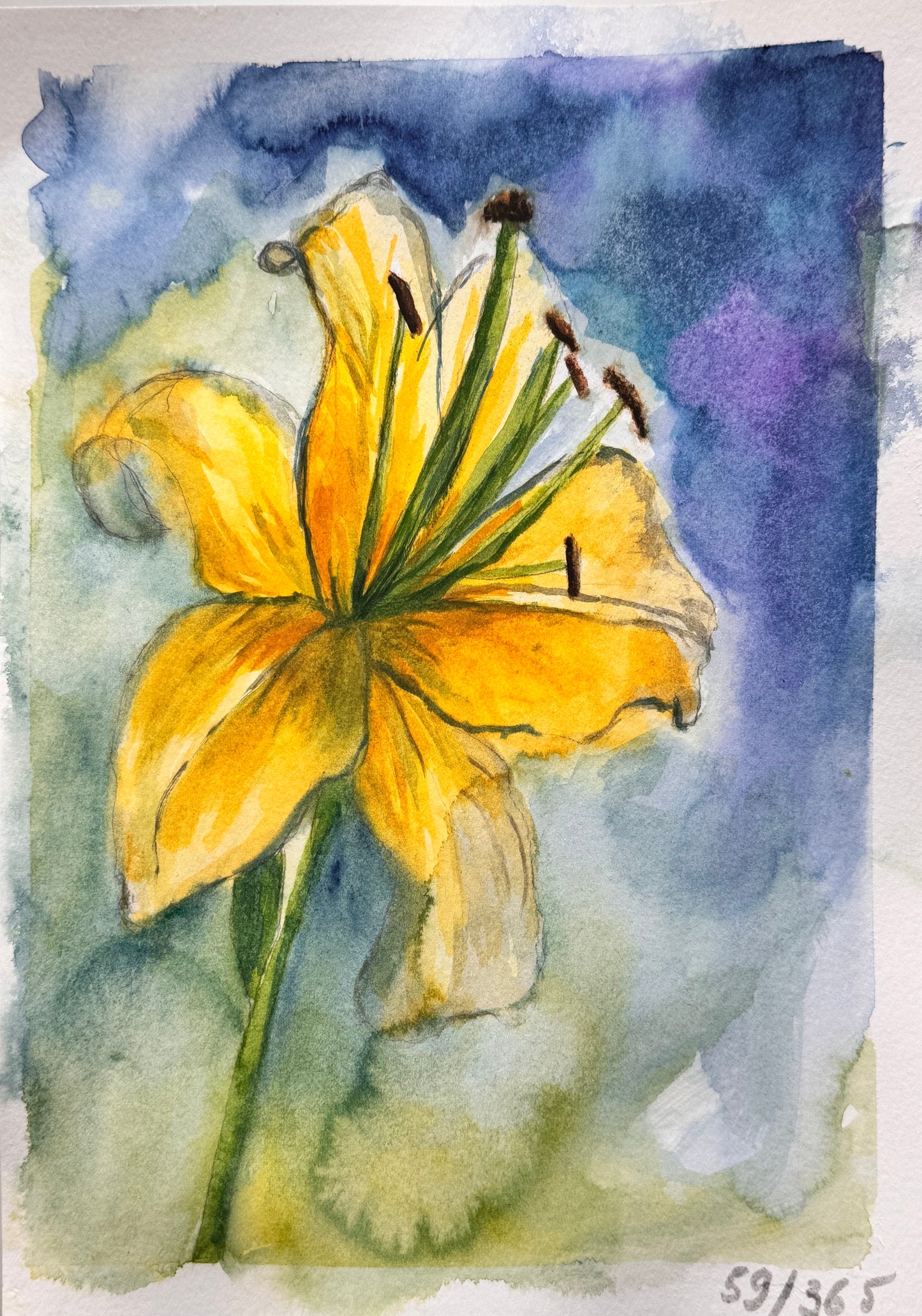 Watercolor painting of a yellow lily flower with a blue and green background