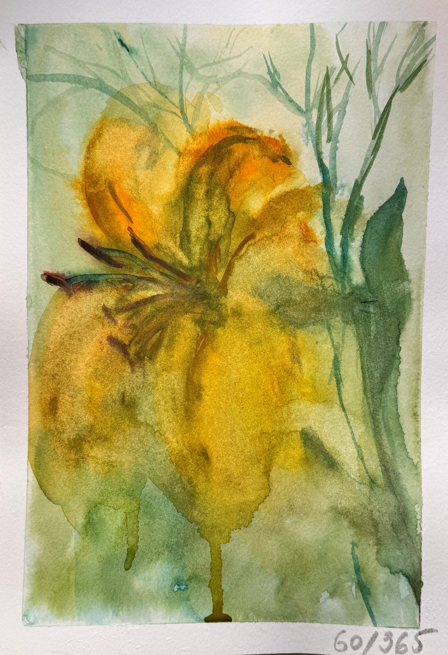 Watercolor painting of a yellow flower with green leaves on a textured white background