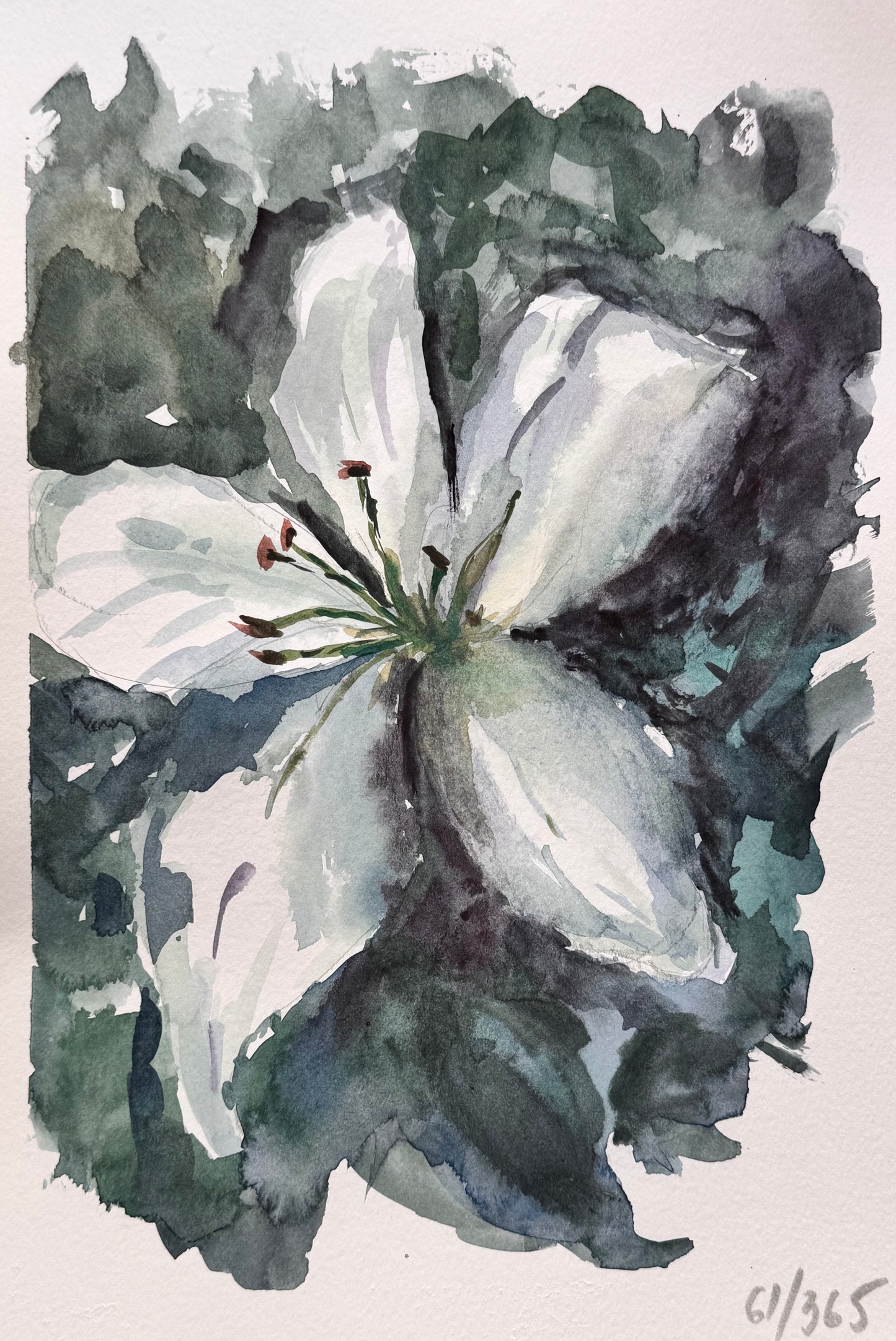 Watercolor painting of a white lily flower with green leaves on a light background