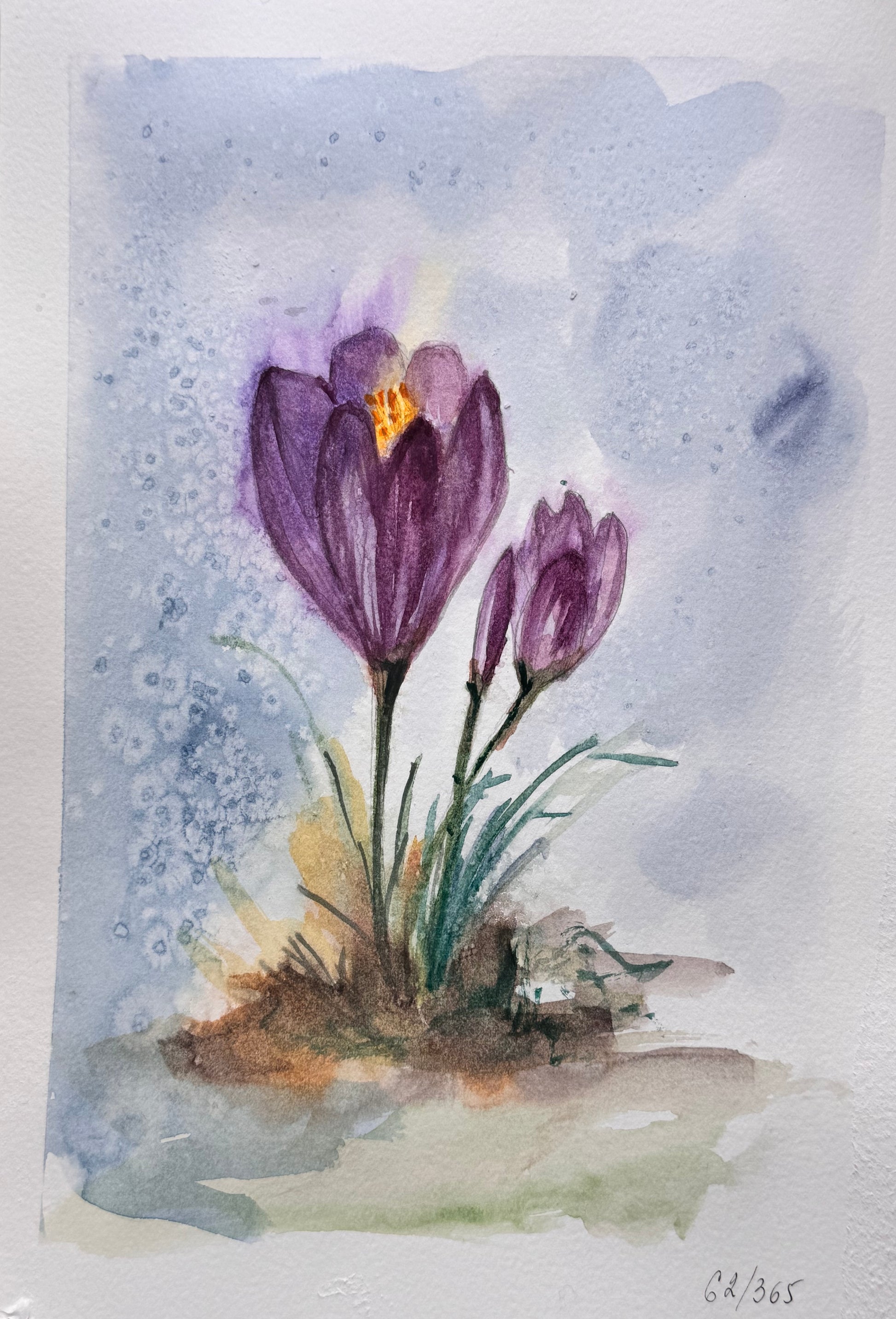 Watercolor painting of a purple crocus flower with a light blue background