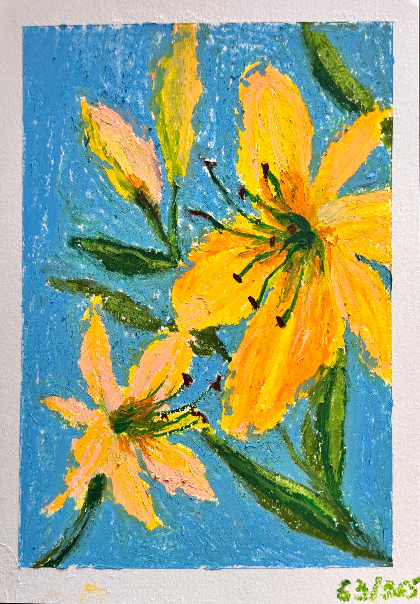 Painting of yellow lily flowers with green leaves on a blue background oil pastels